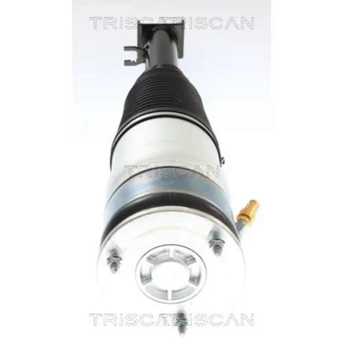 Vzduchový vak 8720 81105 /TRISCAN/ - obr. 1