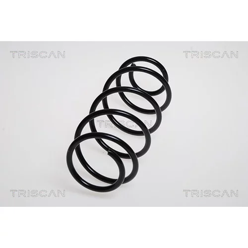 Pružina podvozku TRISCAN 8750 11138