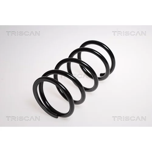 Pružina podvozku TRISCAN 8750 13149