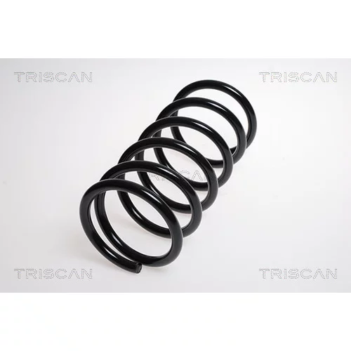 Pružina podvozku TRISCAN 8750 2118