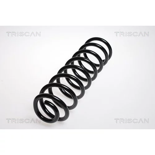 Pružina podvozku TRISCAN 8750 2389