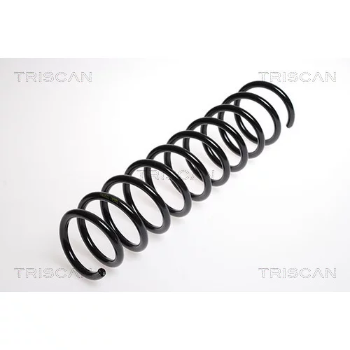 Pružina podvozku TRISCAN 8750 2752