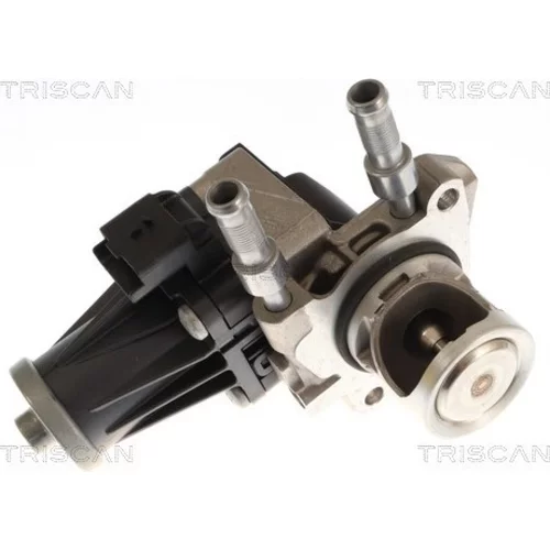 EGR ventil TRISCAN 8813 10119