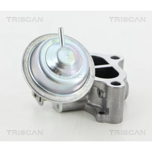 EGR ventil TRISCAN 8813 13065