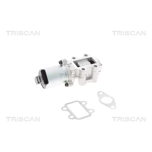 EGR ventil 8813 13101 /TRISCAN/