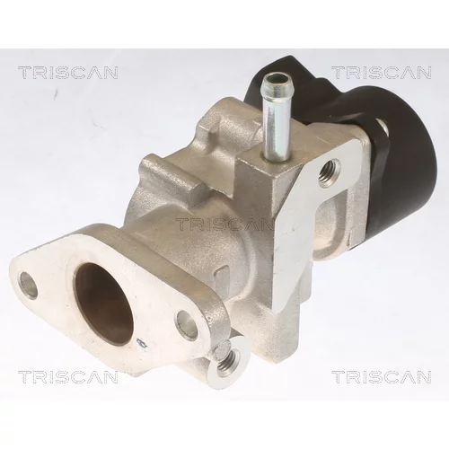 EGR ventil 8813 13104 /TRISCAN/ - obr. 2