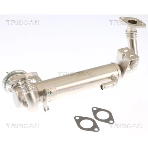 EGR ventil TRISCAN 8813 15074