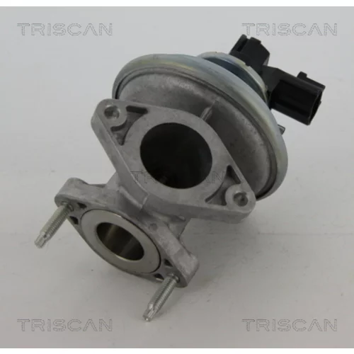 EGR ventil 8813 16045 /TRISCAN/ - obr. 2