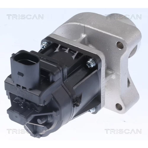 EGR ventil TRISCAN 8813 24084
