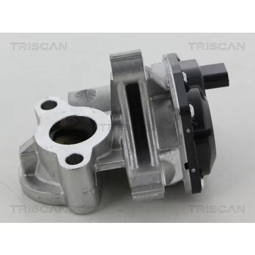 EGR ventil TRISCAN 8813 25041