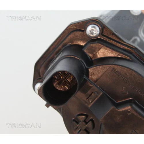 EGR ventil 8813 29065 /TRISCAN/ - obr. 1