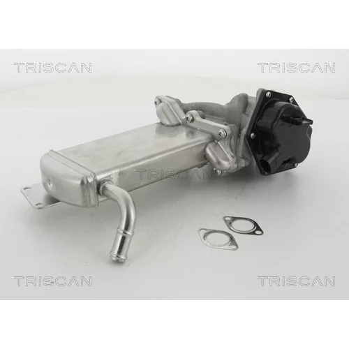 EGR ventil TRISCAN 8813 29305