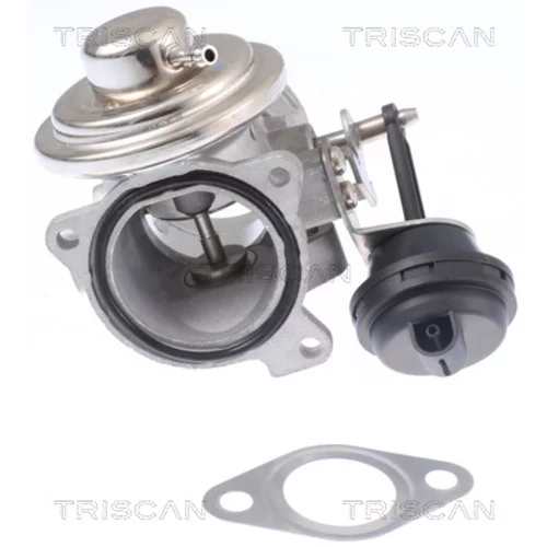 EGR ventil 8813 29308 /TRISCAN/ - obr. 3