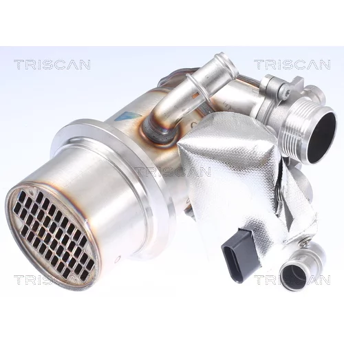 EGR ventil TRISCAN 8813 29337