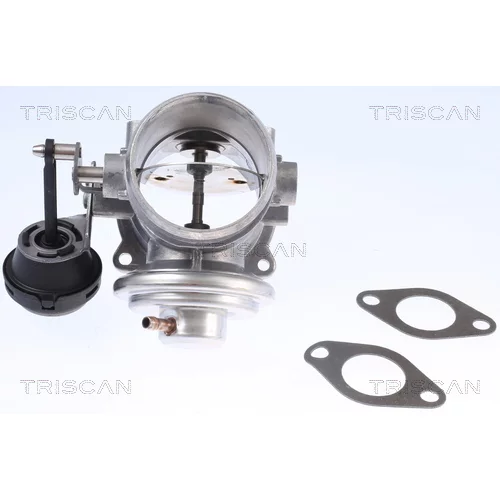 EGR ventil 8813 29341 /TRISCAN/ - obr. 2