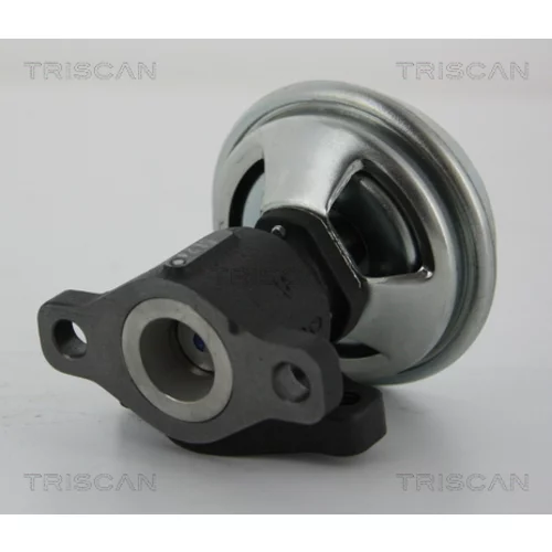 EGR ventil TRISCAN 8813 43005
