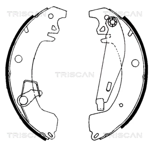 Sada brzdových čeľustí TRISCAN 8100 10031