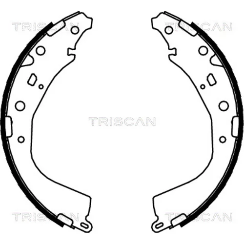 Sada brzdových čeľustí TRISCAN 8100 13053