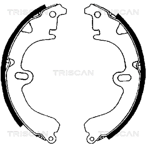 Sada brzdových čeľustí TRISCAN 8100 13423