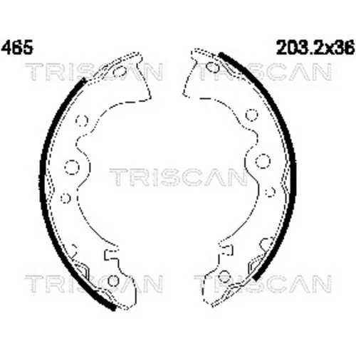 Sada brzdových čeľustí TRISCAN 8100 14465