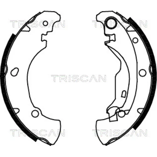 Sada brzdových čeľustí TRISCAN 8100 15625