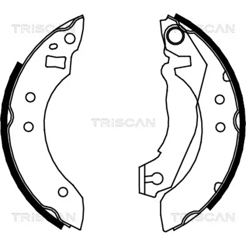 Sada brzdových čeľustí TRISCAN 8100 16355
