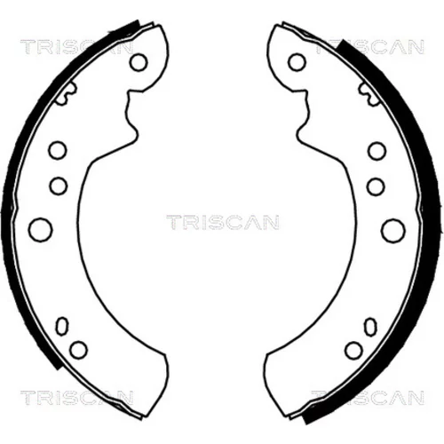 Sada brzdových čeľustí TRISCAN 8100 16443