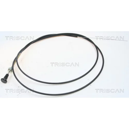 Hriadeľ vzduchovej klapky karburátora 8140 91003 /TRISCAN/