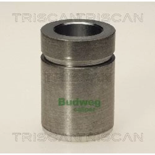 Piest brzdového strmeňa 8170 233206 /TRISCAN/