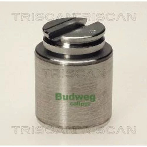 Piest brzdového strmeňa 8170 233605 /TRISCAN/