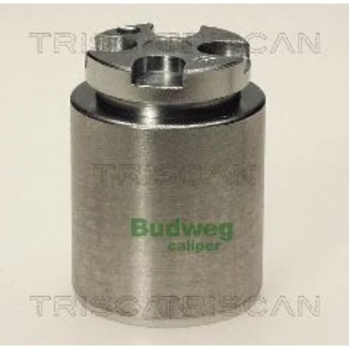 Piest brzdového strmeňa 8170 233620 /TRISCAN/