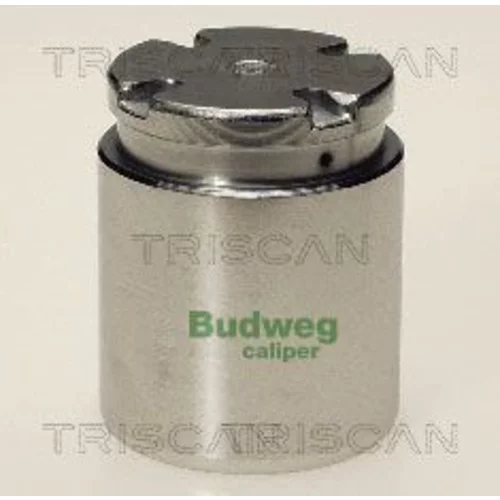 Piest brzdového strmeňa 8170 233821 /TRISCAN/