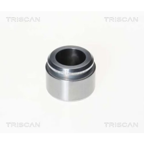 Piest brzdového strmeňa 8170 233855 /TRISCAN/
