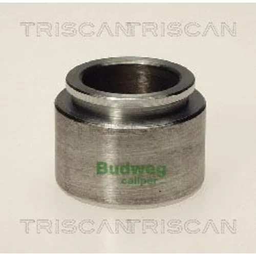 Piest brzdového strmeňa 8170 234015 /TRISCAN/