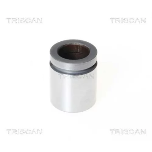 Piest brzdového strmeňa 8170 234041 /TRISCAN/