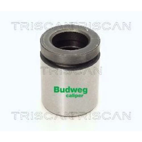 Piest brzdového strmeňa 8170 234221 /TRISCAN/