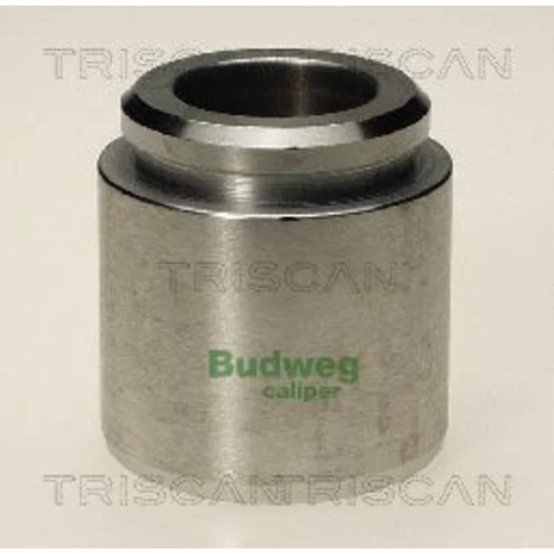 Piest brzdového strmeňa 8170 234324 /TRISCAN/