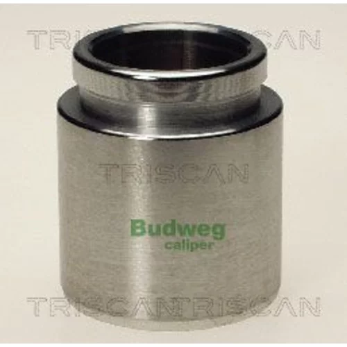 Piest brzdového strmeňa 8170 234326 /TRISCAN/