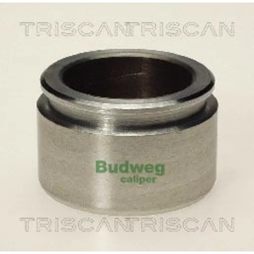 Piest brzdového strmeňa 8170 234601 /TRISCAN/