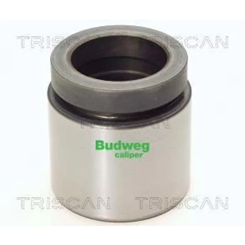 Piest brzdového strmeňa 8170 234609 /TRISCAN/