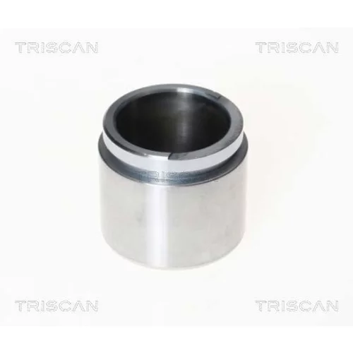 Piest brzdového strmeňa TRISCAN 8170 234807