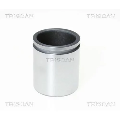 Piest brzdového strmeňa 8170 235212 /TRISCAN/