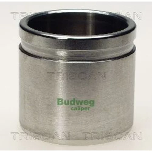 Piest brzdového strmeňa 8170 235467 /TRISCAN/
