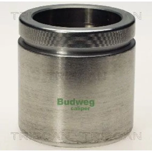Piest brzdového strmeňa 8170 235468 /TRISCAN/