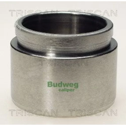 Piest brzdového strmeňa 8170 236017 /TRISCAN/