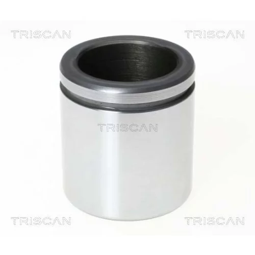 Piest brzdového strmeňa 8170 236041 /TRISCAN/