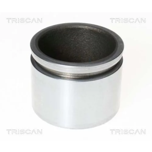Piest brzdového strmeňa 8170 236043 /TRISCAN/