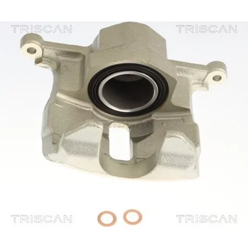 Brzdový strmeň TRISCAN 8175 69119