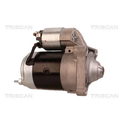 Štartér 8305 10114 /TRISCAN/ - obr. 6