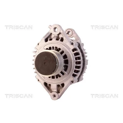 Alternátor 8310 10015 /TRISCAN/ - obr. 5